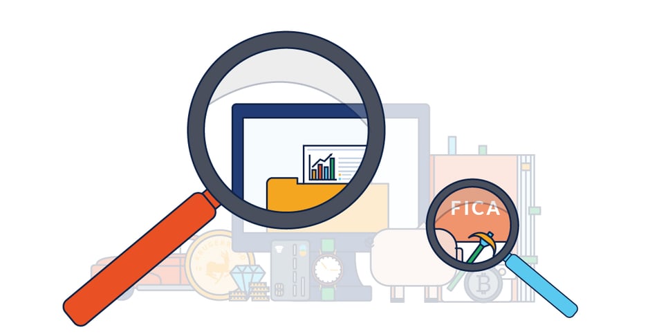 DocFox-2 Magnifying glass inspecting fica assests